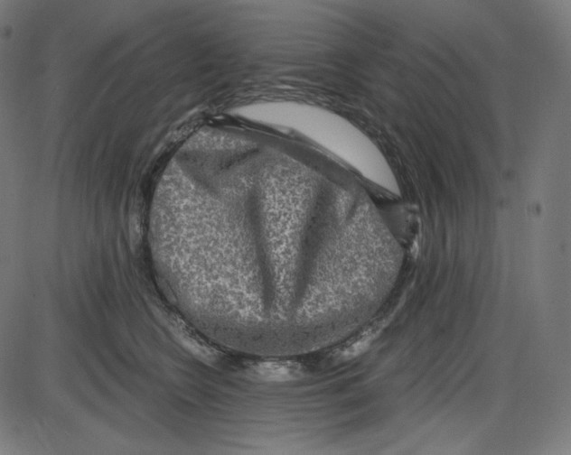 X0000084030566200703161809