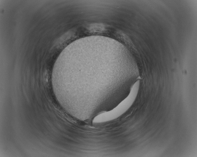 X0000084030567200703161809