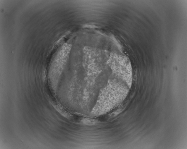 X0000084030568200703161809