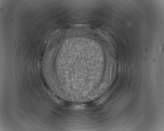 X0000084030569200703161809