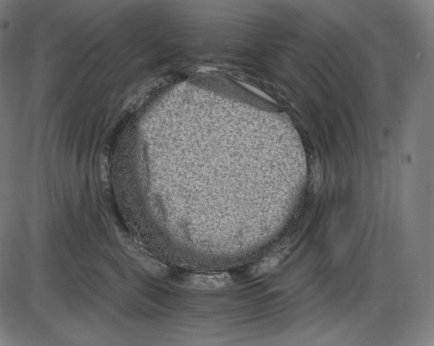 X0000084030571200703161809