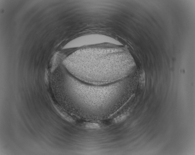 X0000084030572200703161809