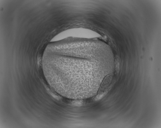 X0000084030574200703161809