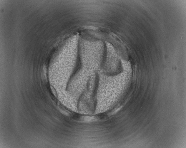 X0000084030575200703161809