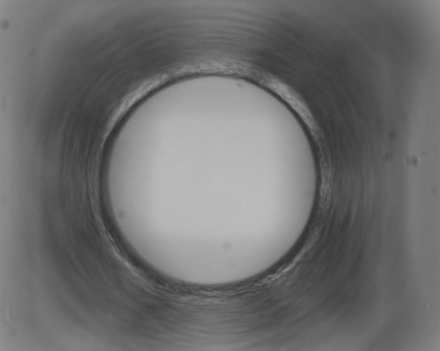 X0000084030578200703161808