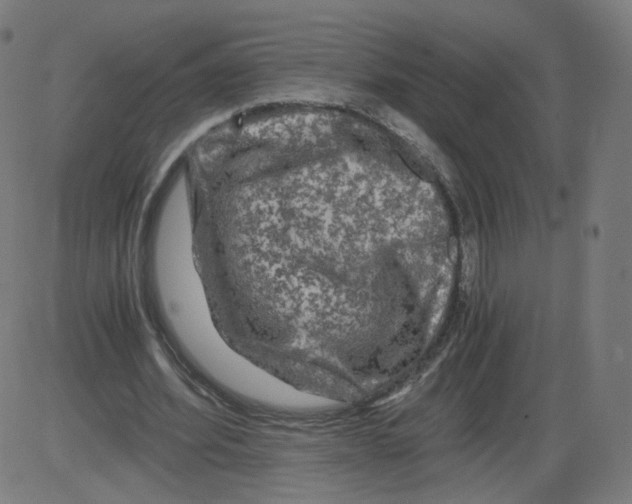 X0000084030580200703161808