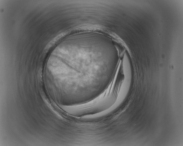 X0000084030581200703161808