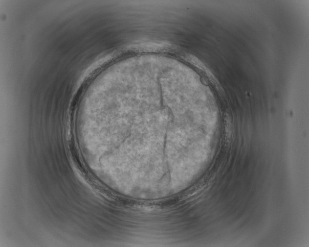 X0000084030582200703161808