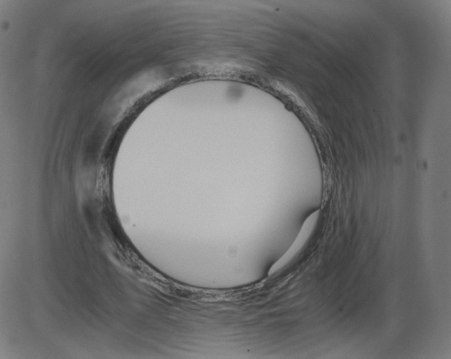 X0000084030583200703161808