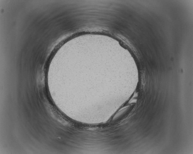 X0000084030584200703161808