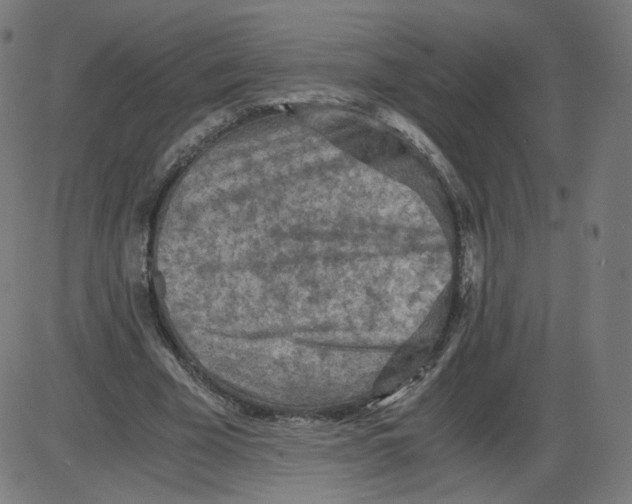 X0000084030585200703161808