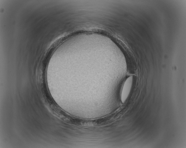 X0000084030587200703161808