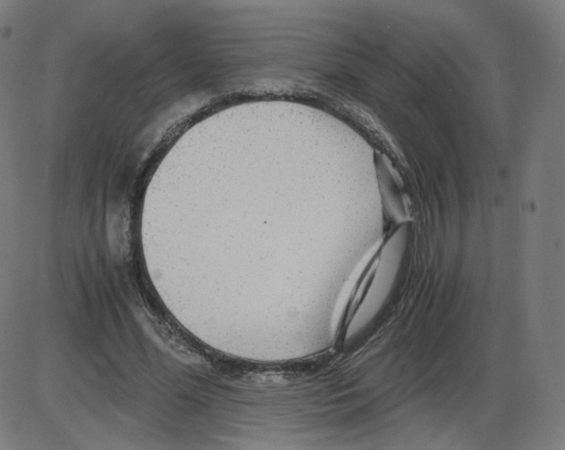 X0000084030588200703161808