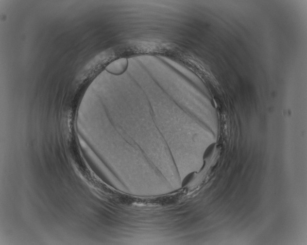 X0000084030590200703161808