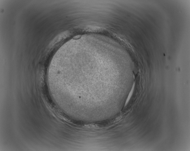 X0000084030591200703161808