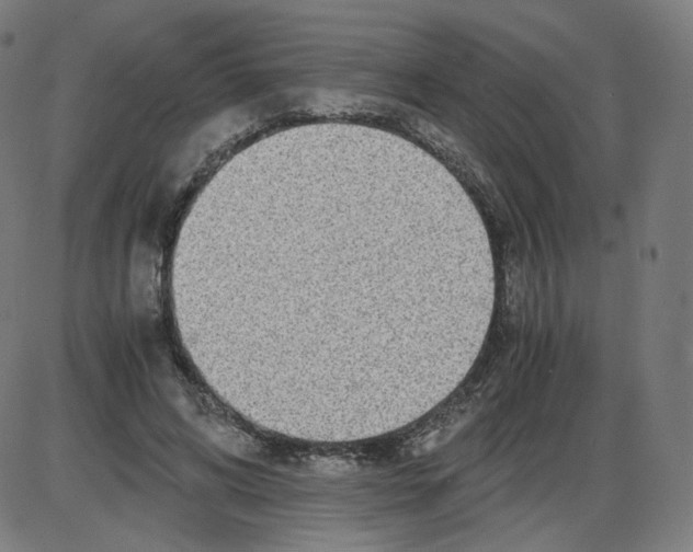 X0000084030592200703161808