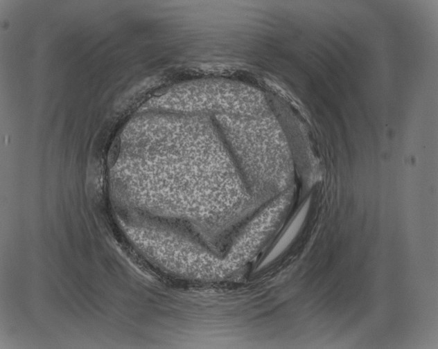 X0000084030593200703161808