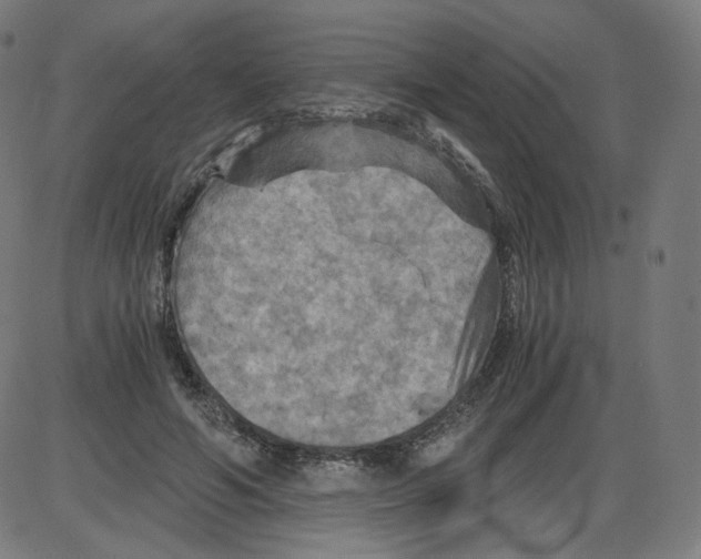 X0000084030594200703161808