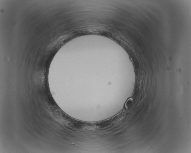 X0000084030595200703161808