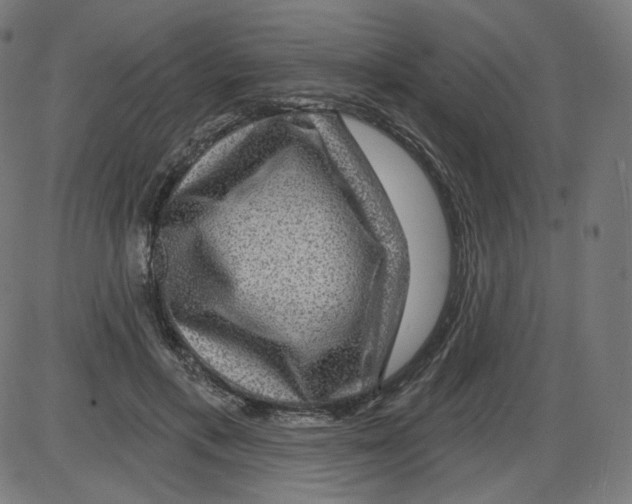 X0000084030597200703161808