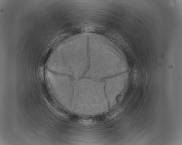 X0000084030598200703161808