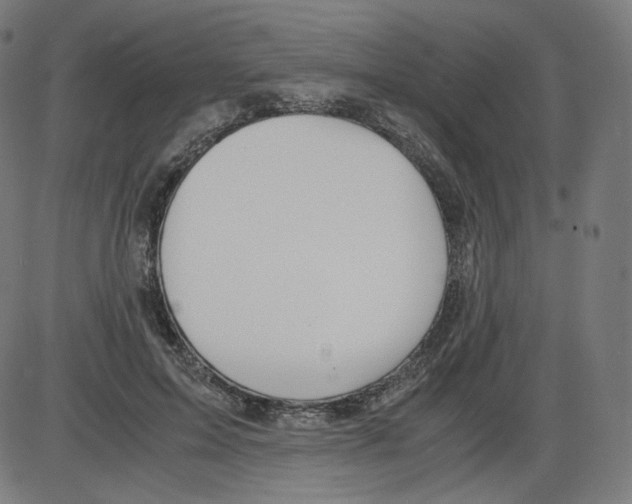 X0000084030599200703161808