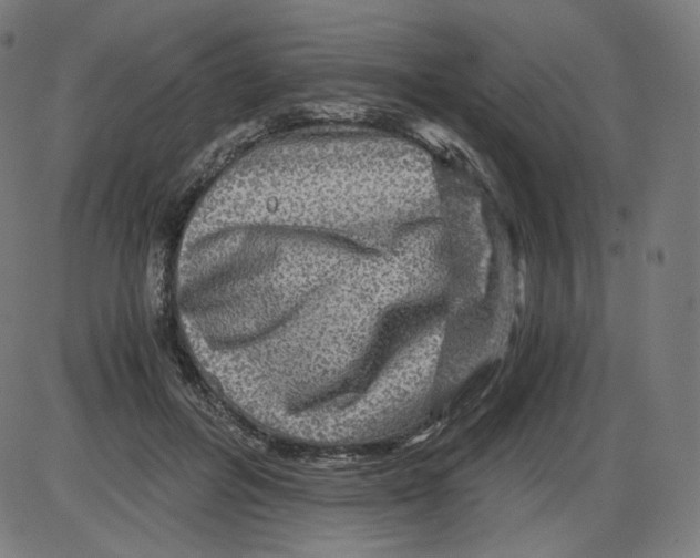 X0000084030600200703161808