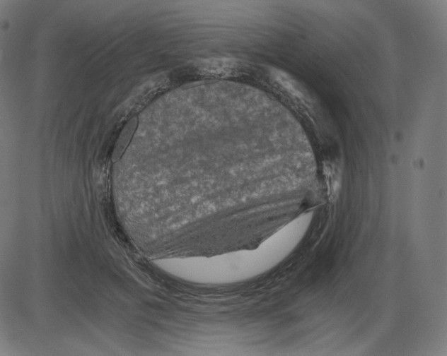 X0000084030601200703161808