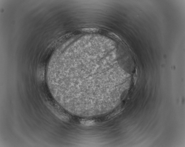 X0000084030602200703161808