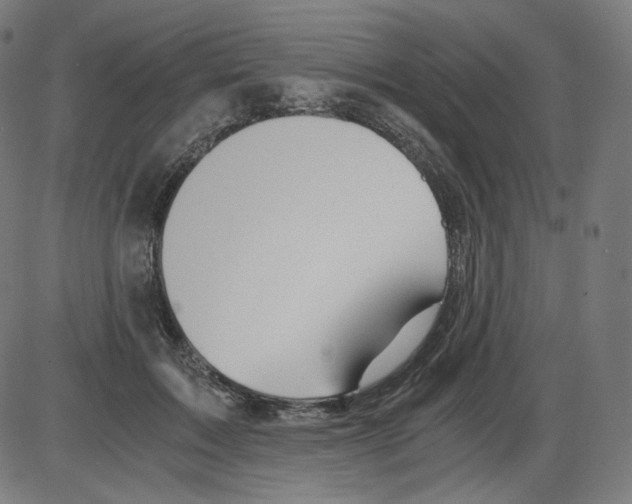 X0000084030603200703161807