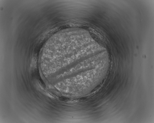 X0000084030604200703161807