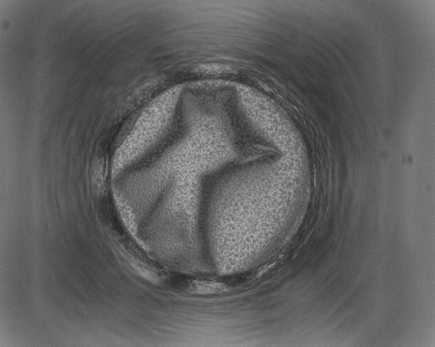 X0000084030605200703161807