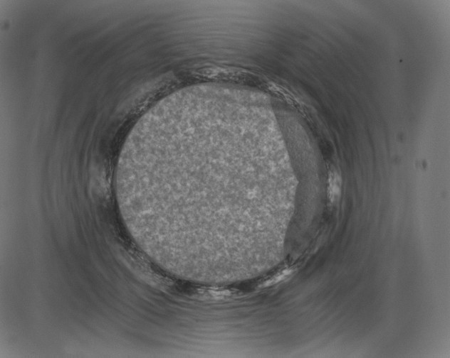 X0000084030607200703161807