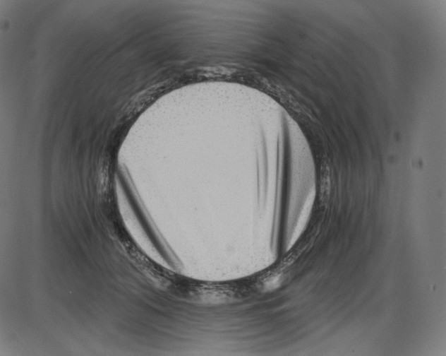 X0000084030608200703161807