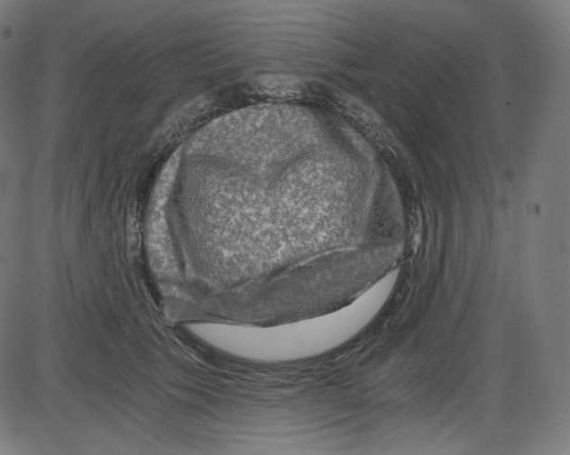 X0000084030609200703161807