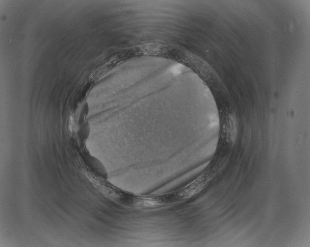 X0000084030610200703161807