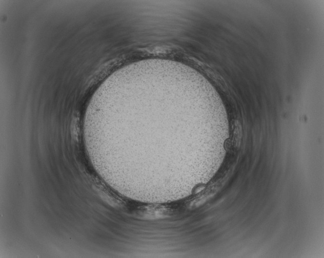 X0000084030612200703161807