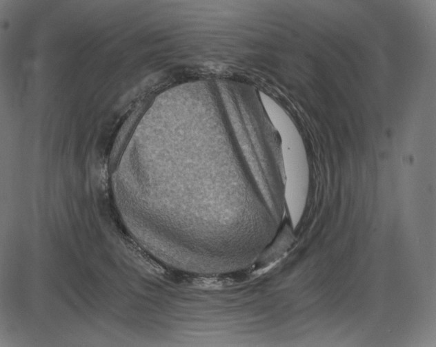 X0000084030613200703161807