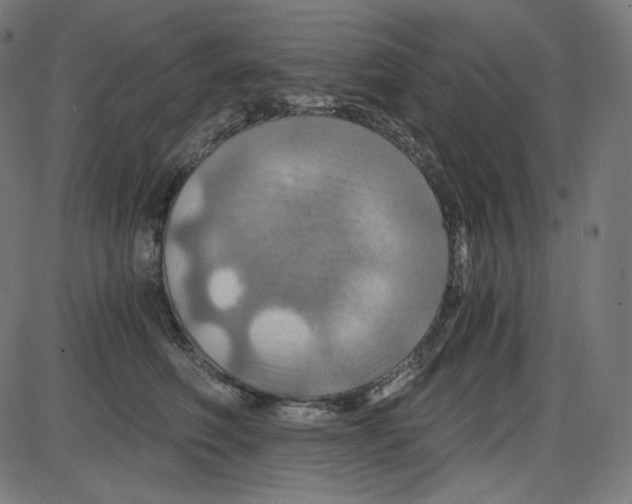 X0000084030614200703161807