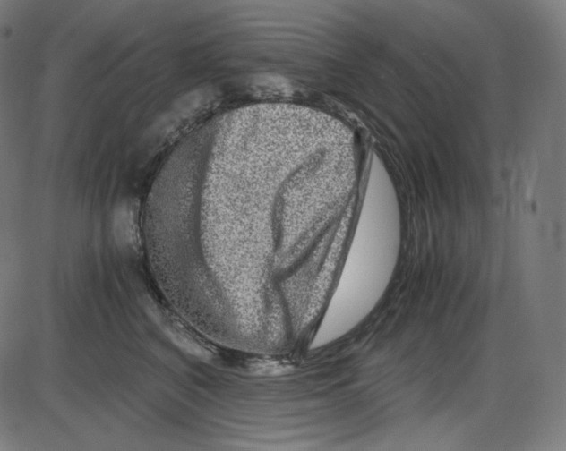 X0000084030616200703161807