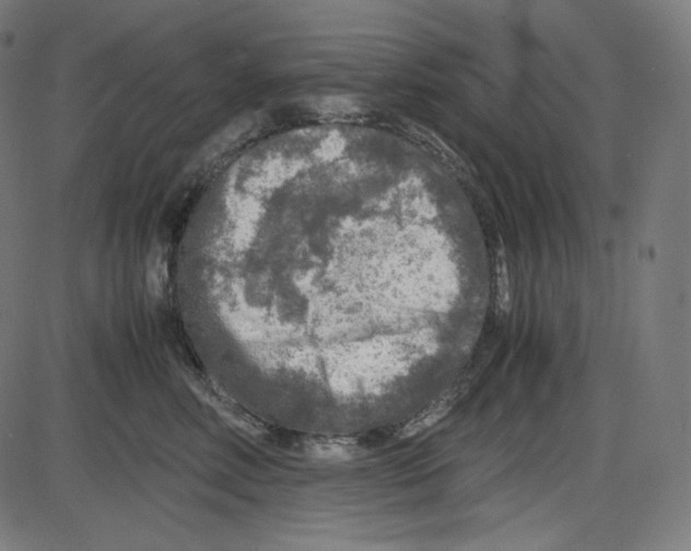 X0000084030618200703161807