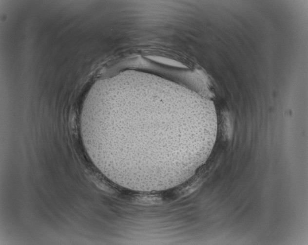 X0000084030619200703161807