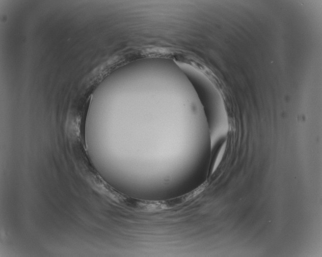 X0000084030621200703161807