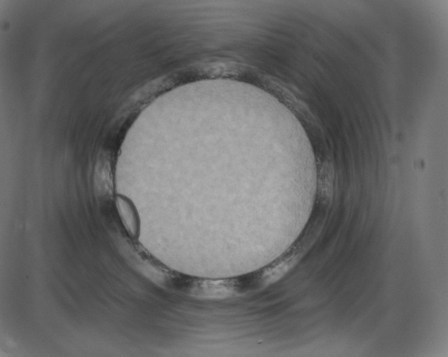 X0000084030622200703161807