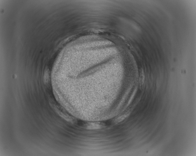 X0000084030623200703161807