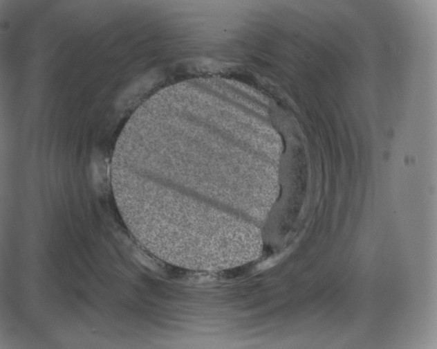 X0000084030624200703161807