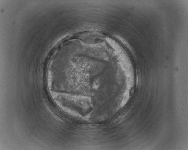 X0000084030627200703161806