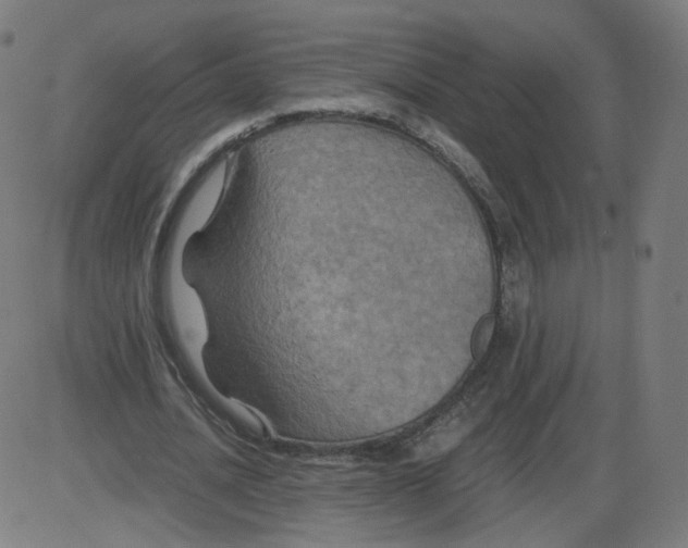 X0000084030628200703161806