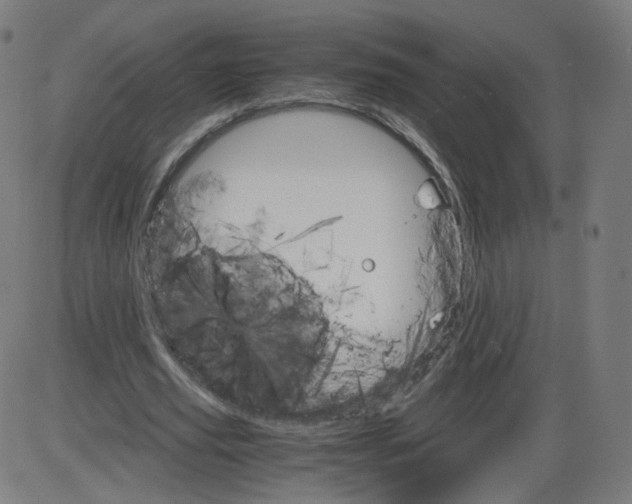 X0000084030629200703161806