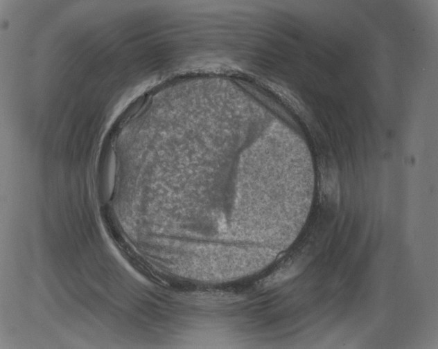 X0000084030630200703161806